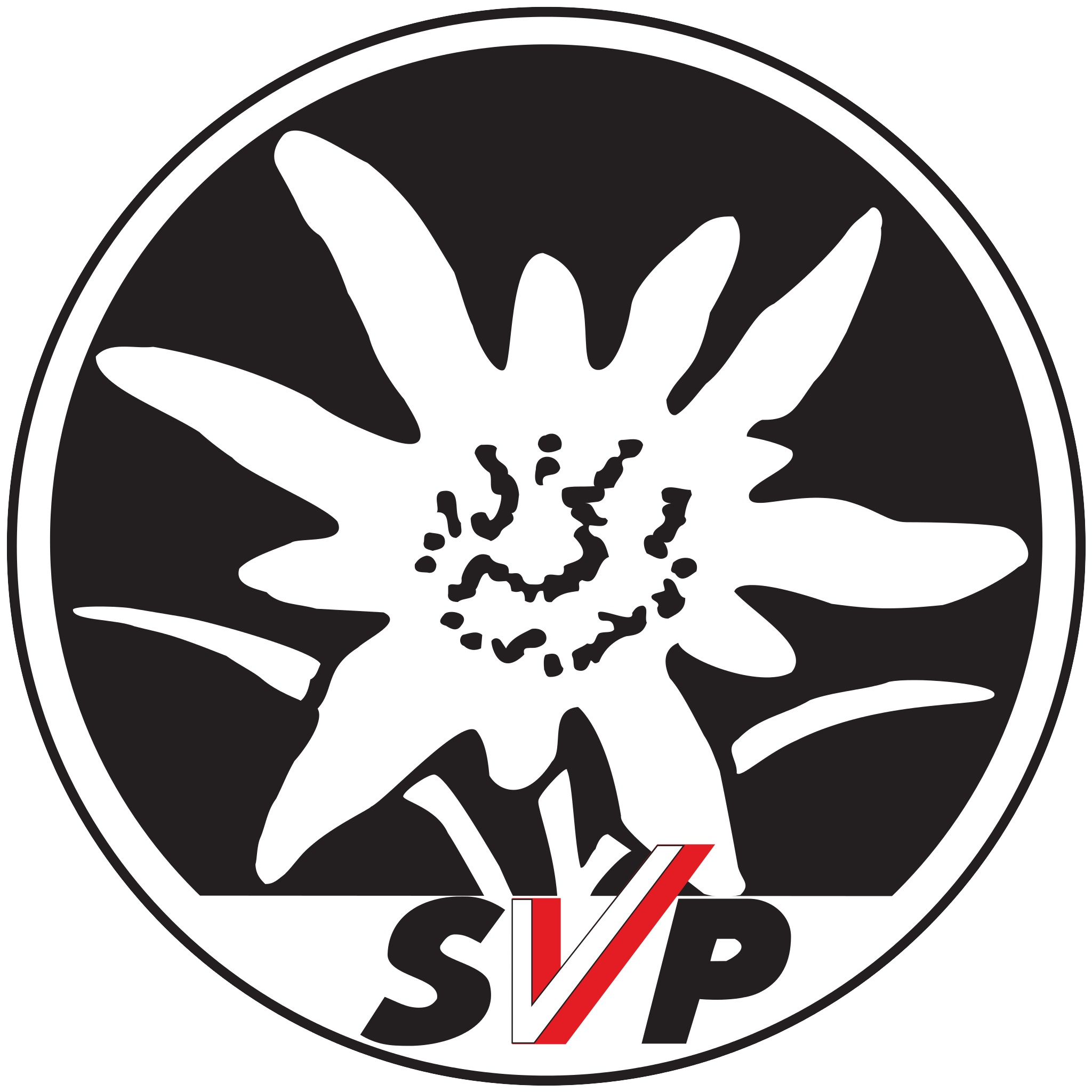 Logo Sudtiroler